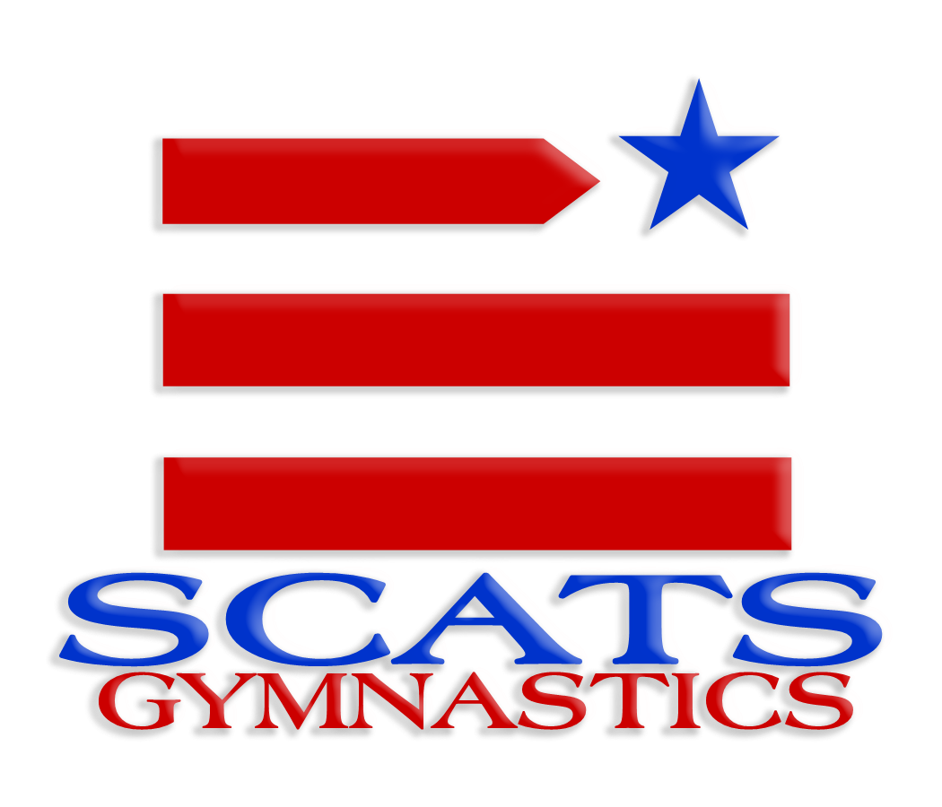 SCATS Flag Logo (layer styles, color)